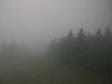 14 : 52