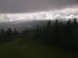 15 : 24