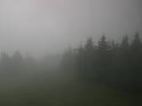 16 : 48