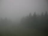 17 : 36