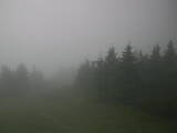 17 : 40