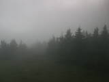 18 : 20