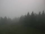 18 : 24