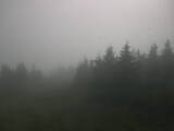18 : 28