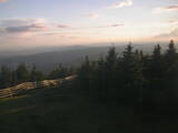20 : 32