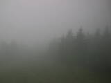 09 : 44