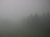 11 : 32