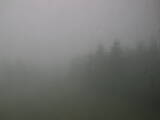 14 : 12