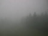 14 : 16