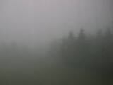14 : 20