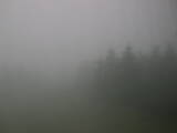 14 : 24