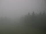 14 : 28