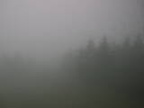 14 : 36