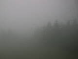 14 : 40