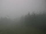15 : 28