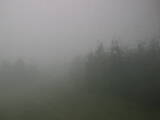 15 : 32