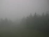 15 : 44