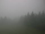 15 : 52