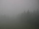 15 : 56