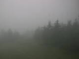 16 : 12