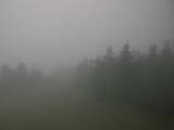 16 : 20