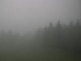 16 : 28