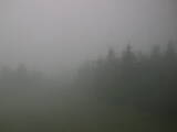 16 : 32