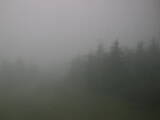 16 : 36