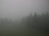 16 : 44