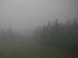 16 : 48