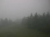 17 : 12