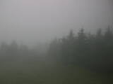 17 : 28