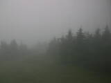 17 : 32