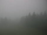 17 : 36