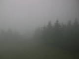 17 : 44