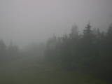 19 : 48