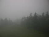 20 : 02