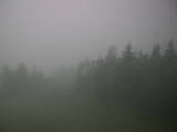 20 : 10