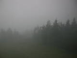20 : 20