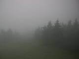 06 : 44