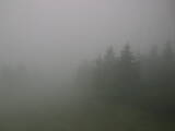 08 : 44