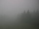 09 : 04