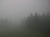 09 : 44