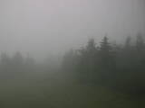 13 : 56