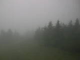 14 : 00