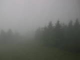 14 : 08
