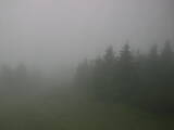 14 : 12