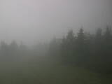 15 : 24