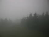 20 : 40