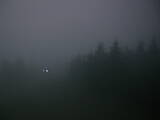 21 : 16